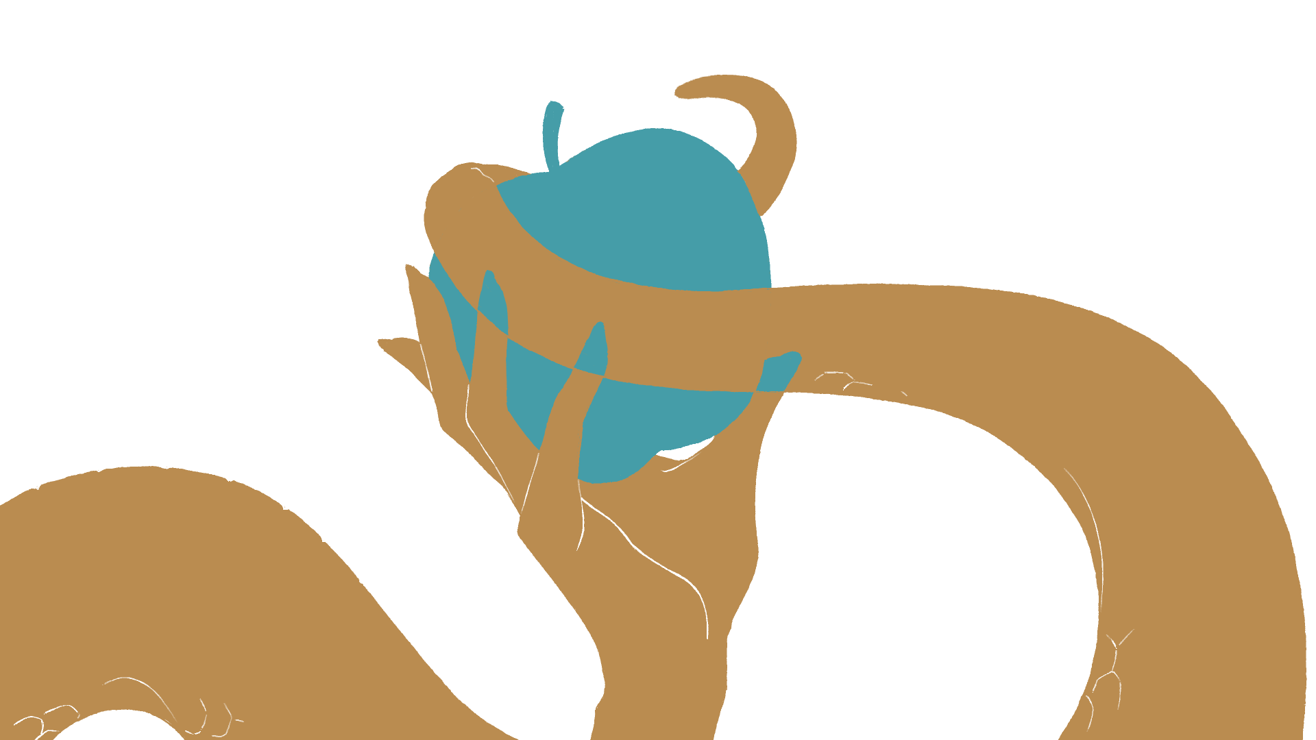 这是一个图片描述