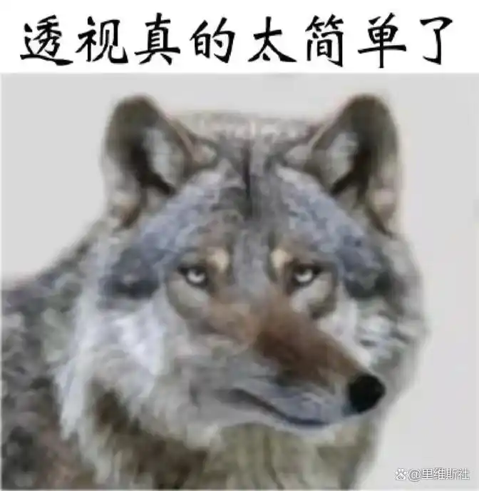 结构意识